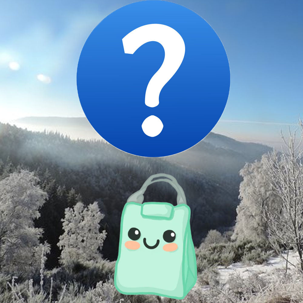 Pourquoi choisir un sac isotherme pour l'hiver ?
